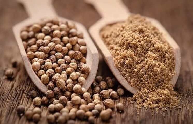 فروش تخم گشنیز سبز + قیمت خرید به صرفه